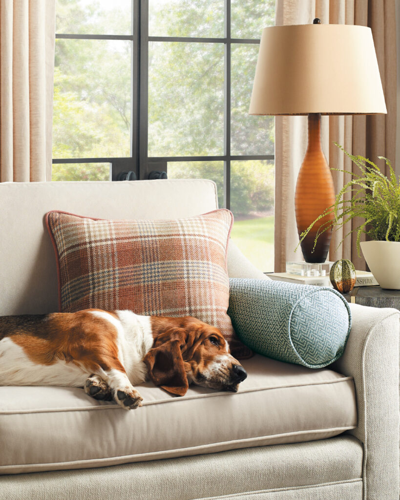 Calico performance fabric with a puppy dog laying on sofa to show the durability of the fabric.